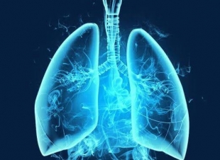 التدخين وامراض الرئة والجهاز التنفسي