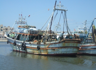 أمطار غزيرة تؤثر على عمليات الصيد بكفر الشيخ