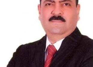 لواء بهاء البجاوى يكتب.. النواب.. والفيروس الفاضح