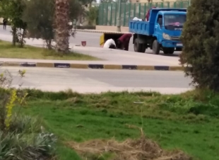 بالصور والفيديو.. رفع مخلفات ونفايات خطرة يدويًا بجامعة كفرالشيخ